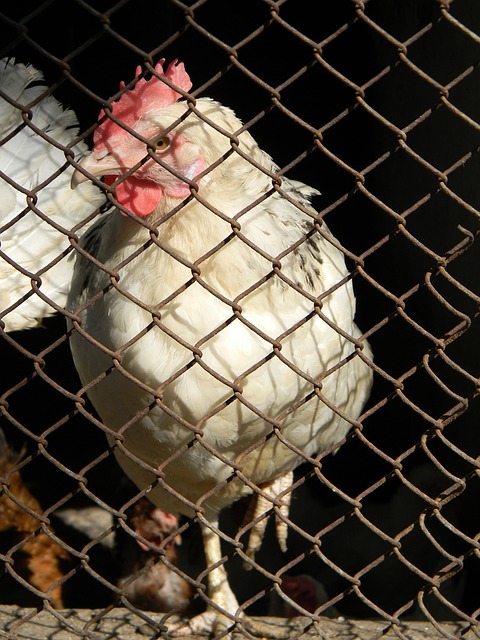 价背后的含 价背后的含