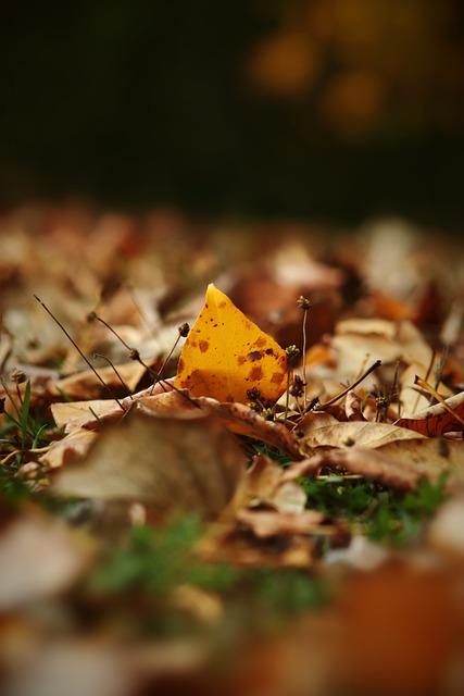 完善法律法 完善法律法
