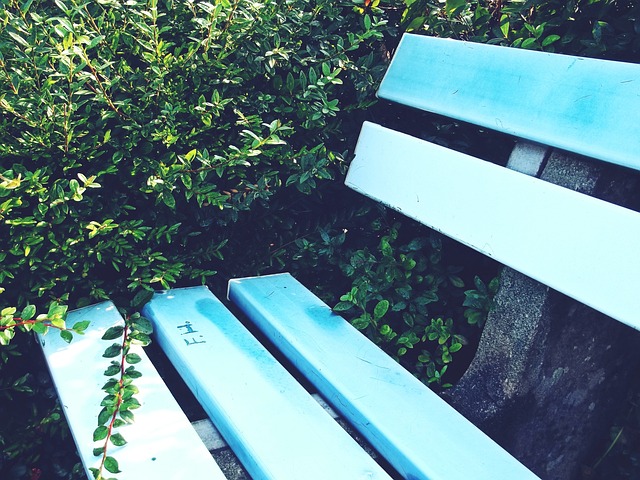 将日本天才 将日本天才