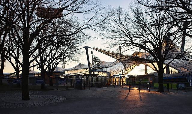 本赛季的表 本赛季的表