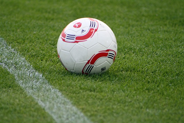 拜仁拥有莱 拜仁拥有莱