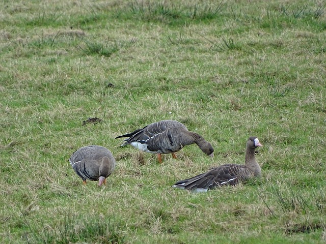 没钱就别暧昧了！报价太低，曼城或将不考虑把坎塞洛卖给巴塞罗那.