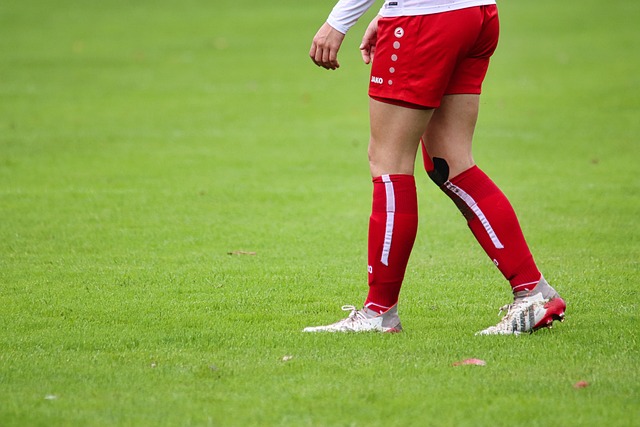 的主要目标 的主要目标