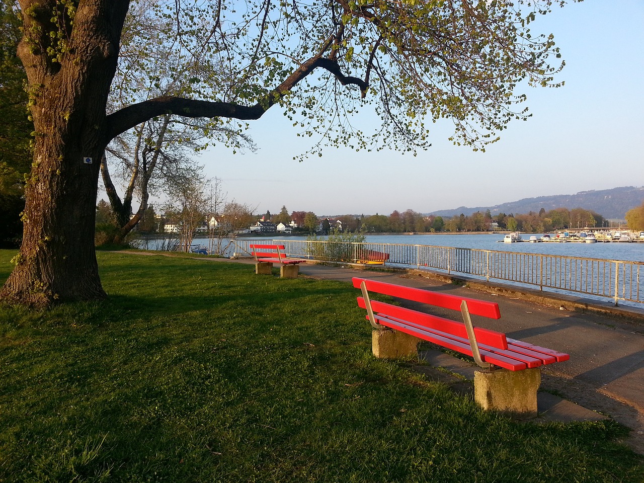 尽管动作的 尽管动作的