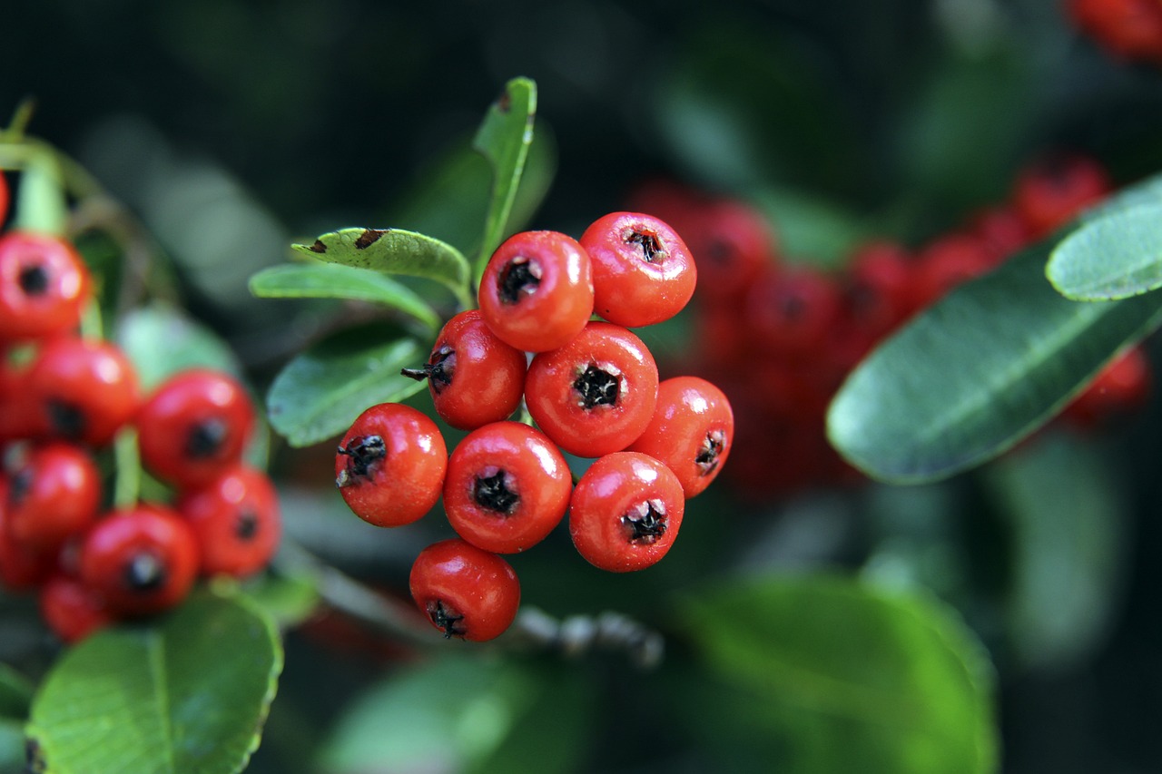 的成绩打破 的成绩打破