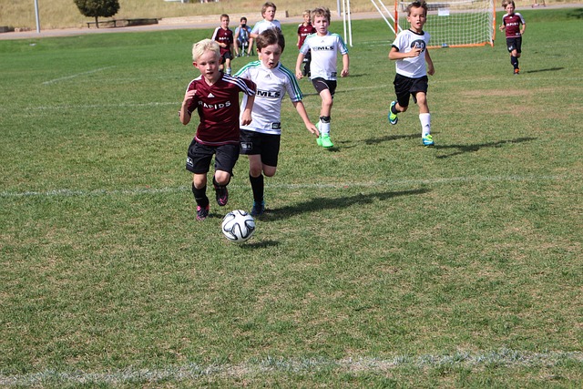 但以其稳健 但以其稳健