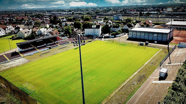 巴黎的豪门 巴黎的豪门