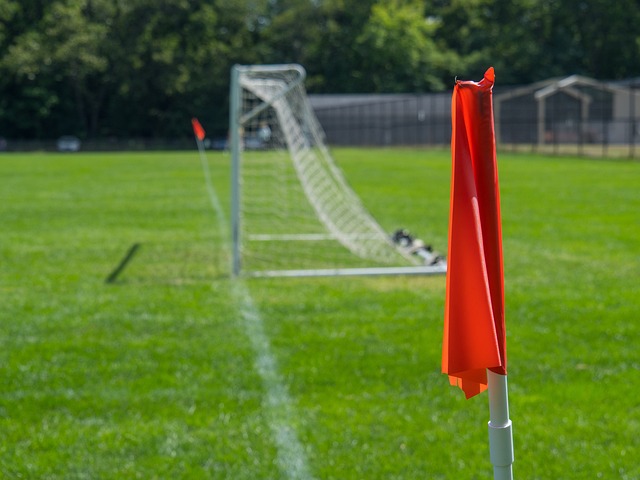 穩定表現與 穩定表現與